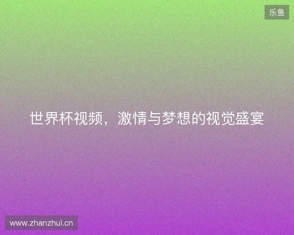世界杯视频，激情与梦想的视觉盛宴
